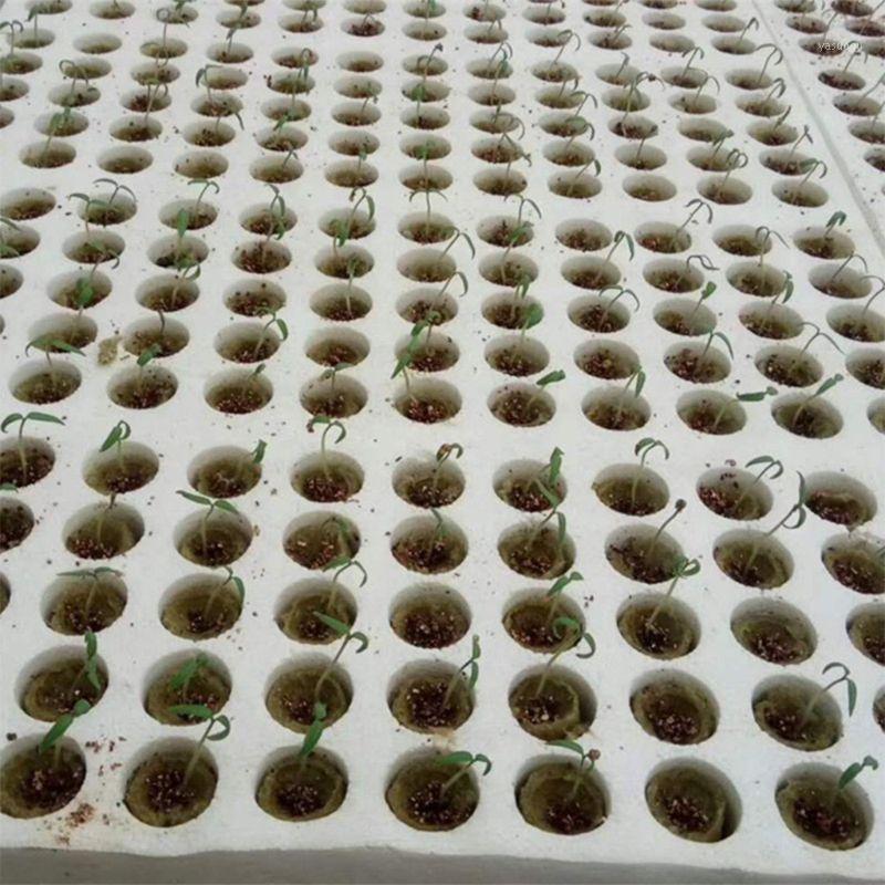 

Planters & Pots 20pcs Cylinder Rockwool Plant Hydroponic Grow Media Soilless Cultivation Compress Base For Garden Greenhouse