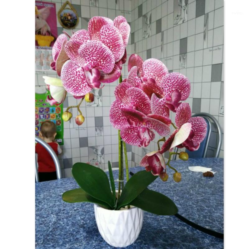 

3D Artificial Butterfly Orchid Flowers Fake Moth flor Orchid Flower for Home Wedding DIY Decoration Real Touch Home Decor Flore1, Beige