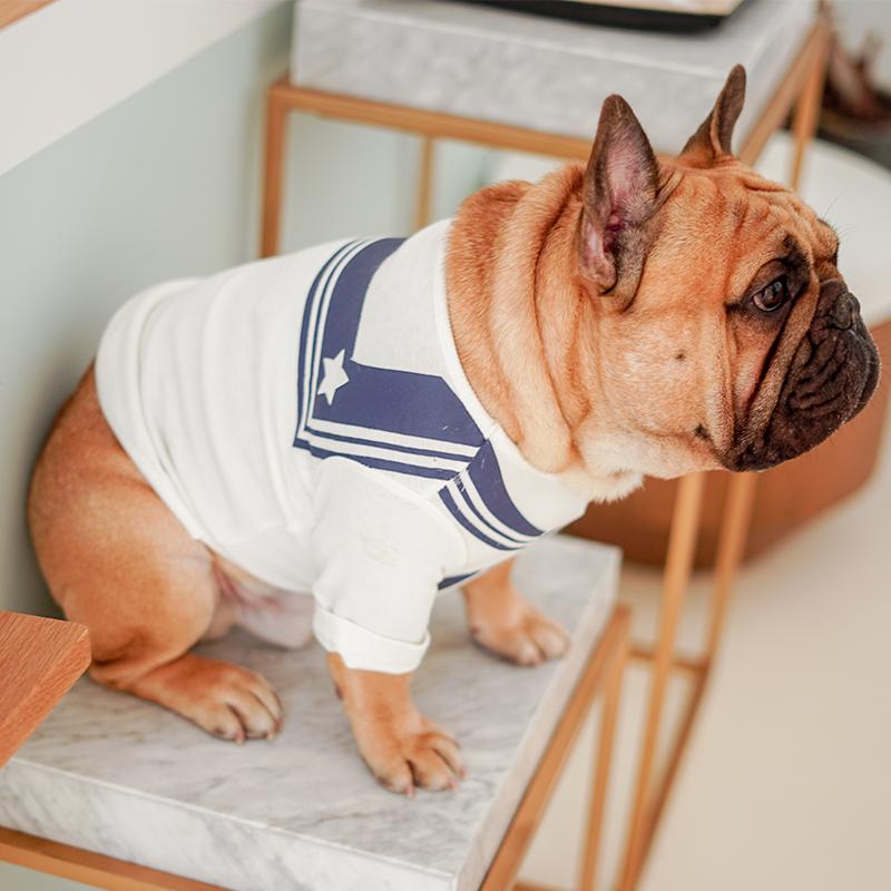 

MPK Dog T-shirts] Japanese Design Dog T-shirt, Pet School Uniform, White based
