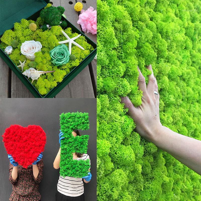 

40g Multicolor Artificial Moss Fake Plant Moss Grass Micro Landscape Accessories Wall DIY Flower Home Living Room Decorative1, B07 light green