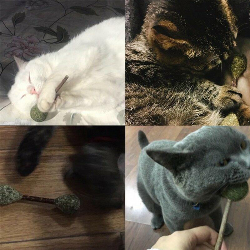 

Cat Toy Natural Catnip Toys Pet Cat Catnip Toy Mint Natural Organic Premium Flavor Kitten Stick Ball Gift For Pets
