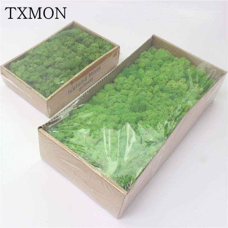

High quality Simulation green plant immortal fake flower Moss grass home living room decorative wall DIY flower mini accessories1, Blue