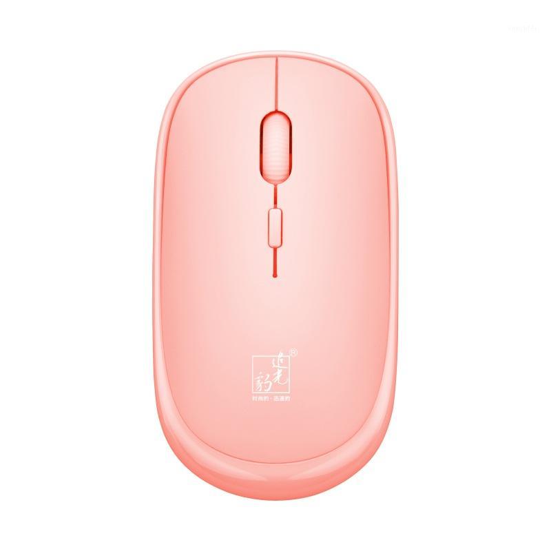 

Follow Spot Leopard 301 Mini Wireless Mouse Notebook Office Computer Accessories No Battery Black1