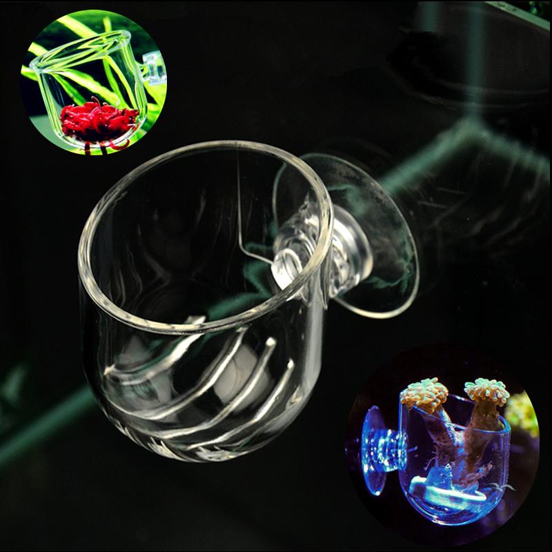 

Aquarium Mini Acrylic Red Worm Fish Feeding Cup Fish Tank Decoration Water Grass Plant Coral Anemone Landscaping Pot