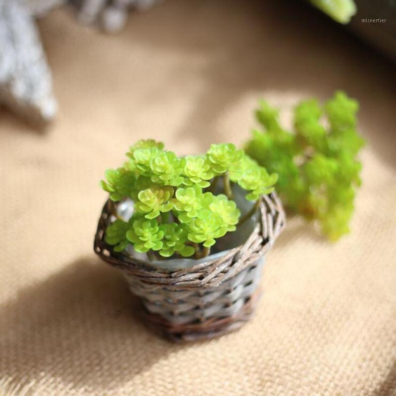 

3pcs Succulents Simulation Plant, Artificial Plants Home Decoration, Mini Cross-fairy Tree, Plantas Artificiales Decoration1