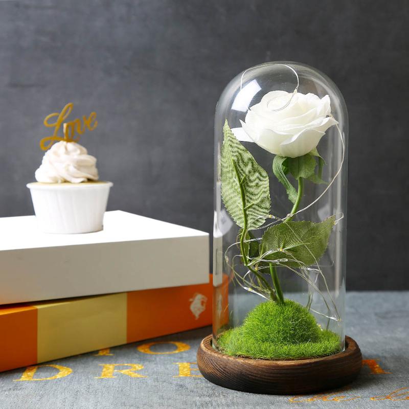 

Simulation Rose Lamp Immortal Rose Lantern Eternal Flower Glass Cover Decoration Light Decoration, Deep pink
