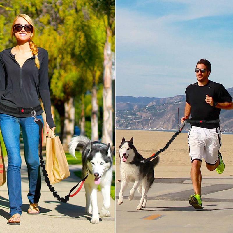 

Dog Leash Running belt Jogging Sport Adjustable Dog rope Reflective Strip Pet Accessories Safe Night Walking Widely applicable