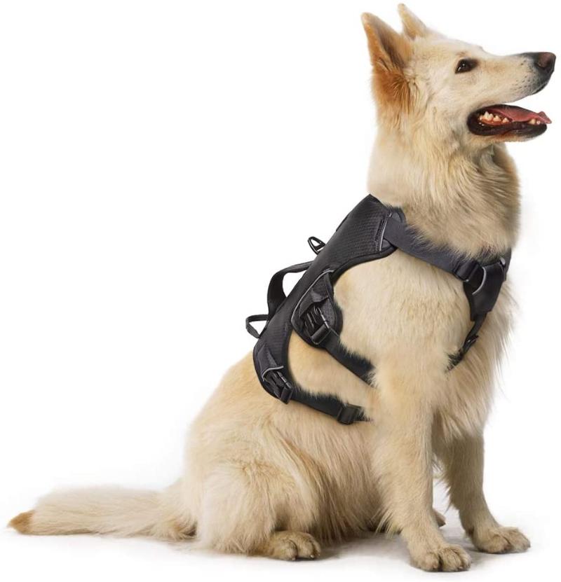 

Rabbitgoo Escape-Proof Dog Harness No pull Adjustable Reflective Walking Pet Vest Harness For Large Dog for Training