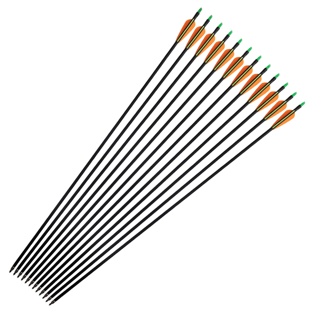 

Outdoor Hunting 31inch 80cm Fiberglass Arrows Archery Arrow Recurve Bow Compound Bow Steel Tips Spine 500