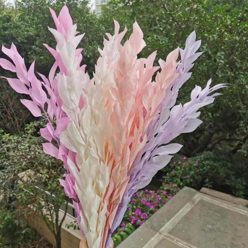 

5pcs/40cm,Natural Fresh Preserved Orange Leaf bouquet,Display Eternell Dracaena Flowers branch for Wedding Party Home Decoration, White