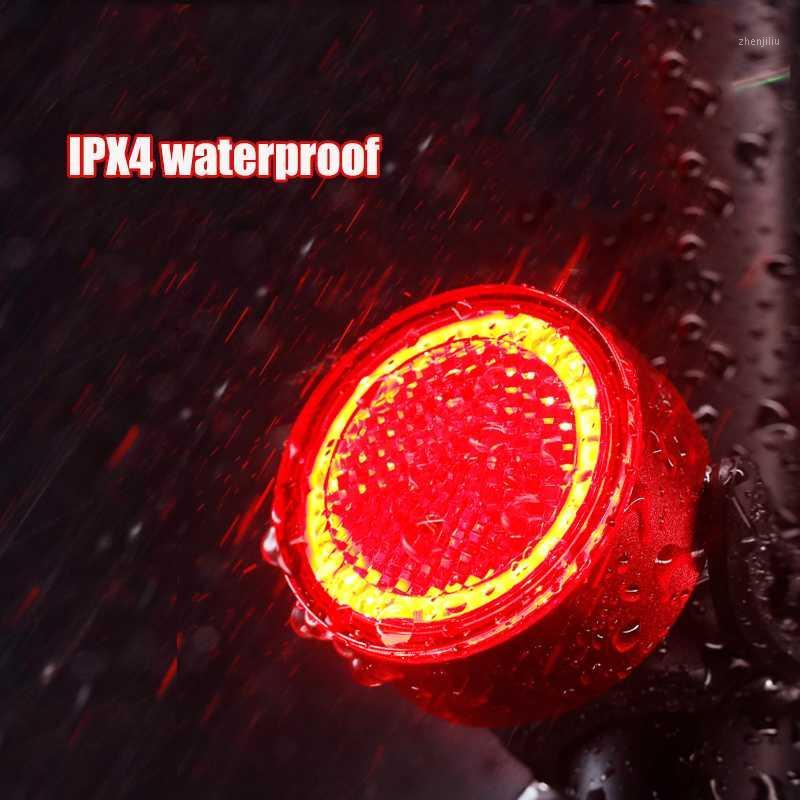 

USB Rechargeable Bicycle Rear Light Smart Auto Brake Sensing Tail Light Cycling Warning LED Bike Waterproof Bicycle Lamp1