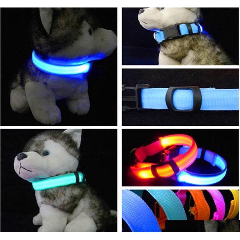 

Nylon Led Dog Collar Light Night Safety Led Flashing Glow Pet Supplies Pet Cat Collars Dog Accessories For Small Dogs Collar Led Hfc1Q