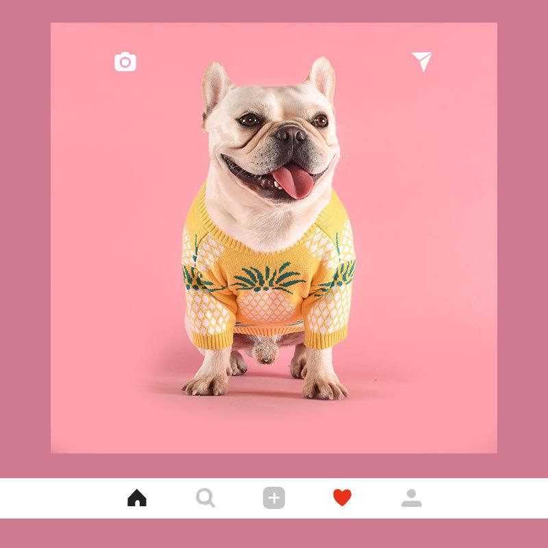 

dog clothes dog sweater chihuahua christmas winter clothes pullover pineapple sweater winter, Yellow