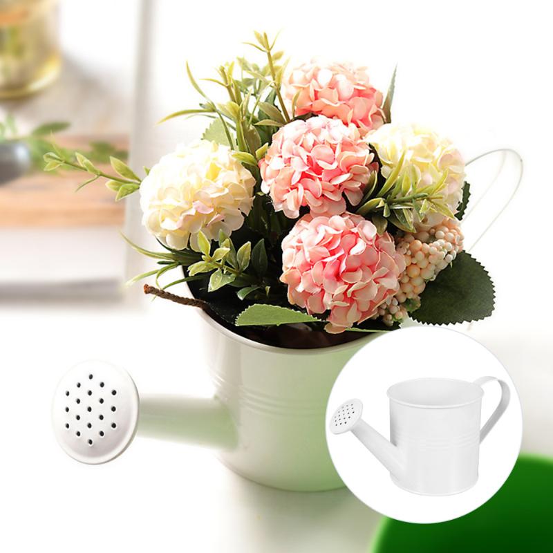 

Metal Watering Can Gardening Outdoor Indoor Watering Pot with Spray Spout, White
