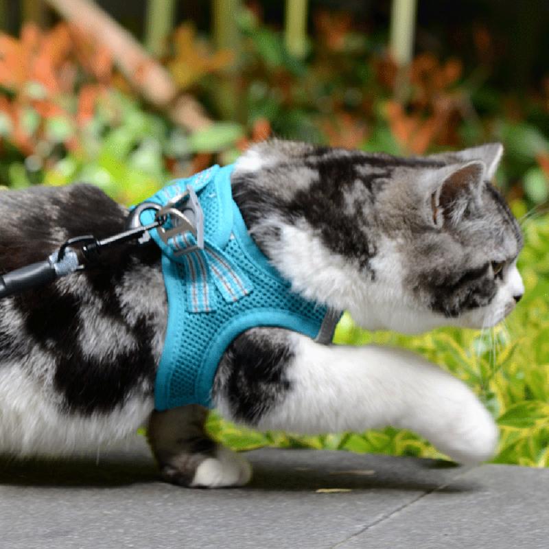 

Pet Vest Harness Leash Adjustable Mesh Vest Dog Cat Harness Collar Chest Strap Leash Harnesses With Traction Rope  S M