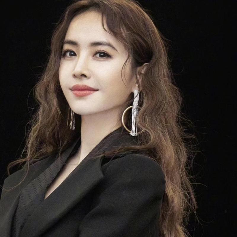 

New Shiny Rhinestone Dangle Earrings For Women Jewelry Fashion Brand Statement Earrings Accessories Wholesale