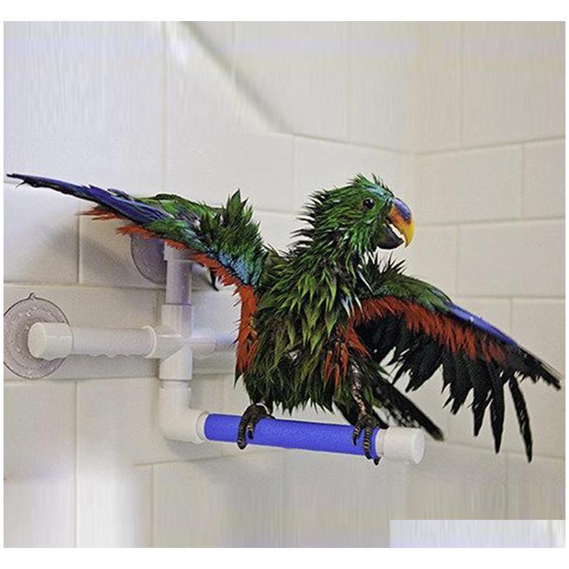 

High Quality Parrot Bath Shower Standing Platform Rack Parrot Climbing And Biting Shower Perch Parakeet Bir qylVFn bdesports