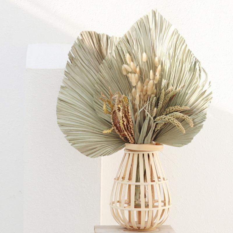 

Palm Fan Leaf Dried Flower Natural Dried Palm Leaf Fan Plant DIY Party Art Wall Hanging Wedding Decor1, As picture