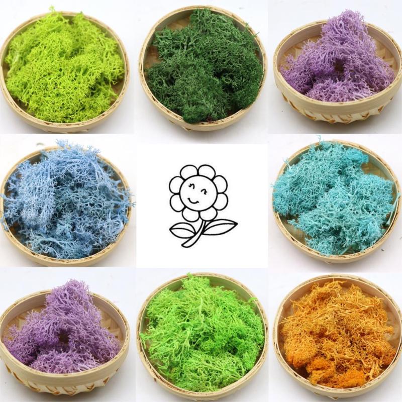 

10g Artificial Plant Eternal Life Moss DIY Flower Micro Landscape Accessories Garden Home Wedding Christmas Decoration Wall, C17