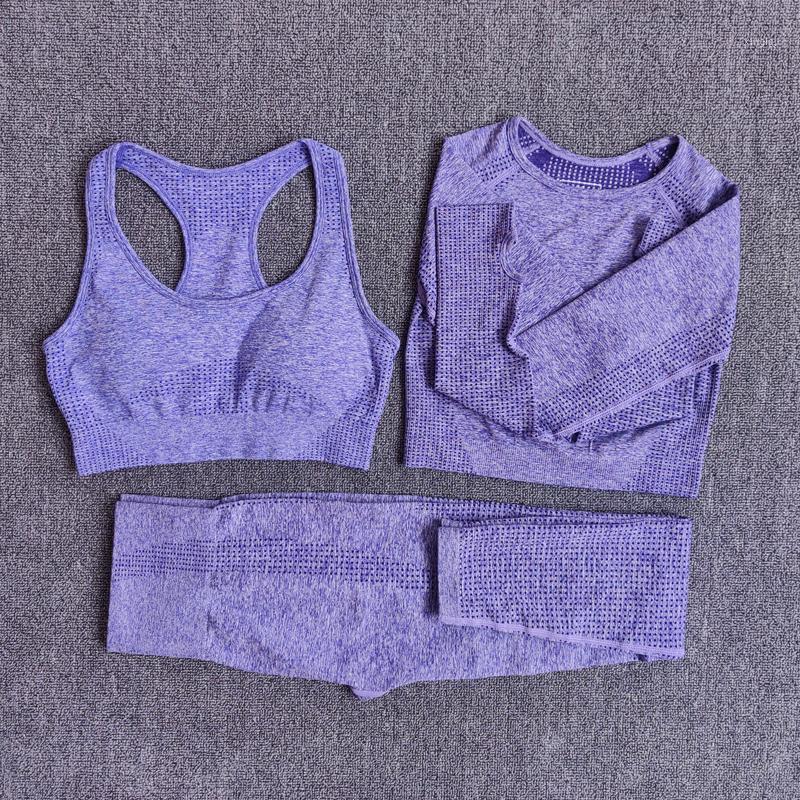 

Women Seamless Yoga Set Fitness Sports Suits Gym Clothing Long Sleeve Crop Top Shirts High Waist Running Leggings Workout Pants1, Brapantspink