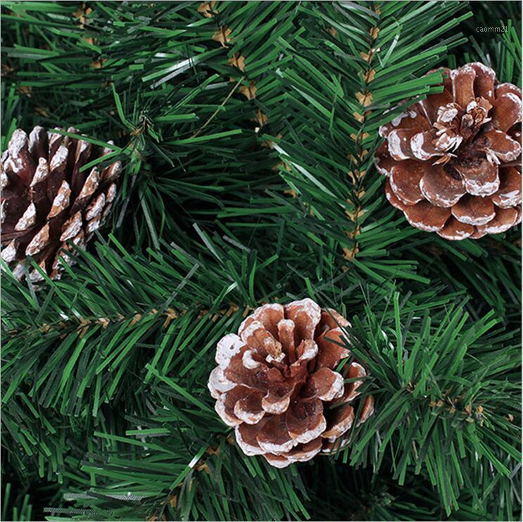 

Christmas Pineta natural color natural Christmas tree pendant accessories 6pcs new year 2021 decoration #j11