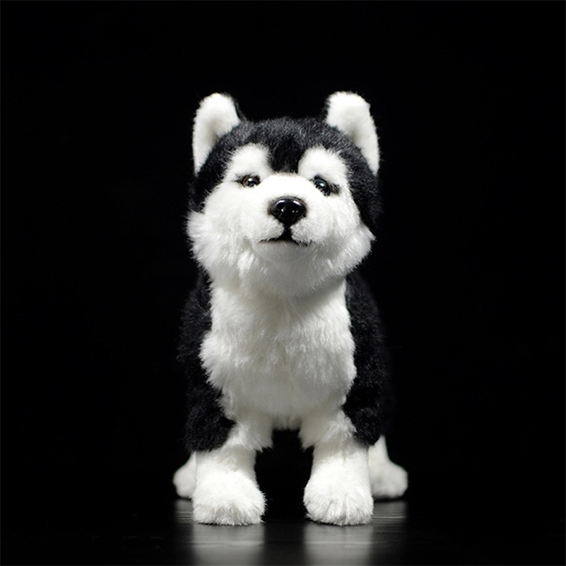 

25CM Siberian Husky Dog Plush Toy W/ Brown/Blue Eyes Lifelike Alaskan Malamute Stuffed Animal Toys Christmas Gifts 201212, Husky 23cm