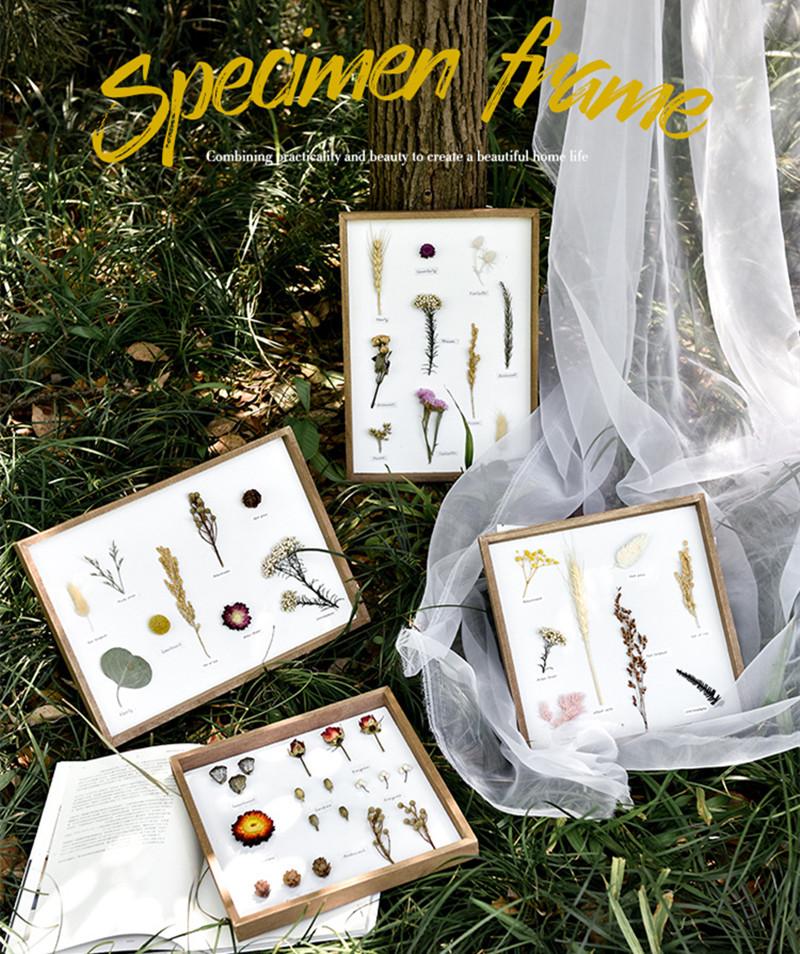 

Creative Wall Decor Wood Crafts Plant Specimen Frame Living Room Bedroom Wall Hanging Decorative Painting Home Decor