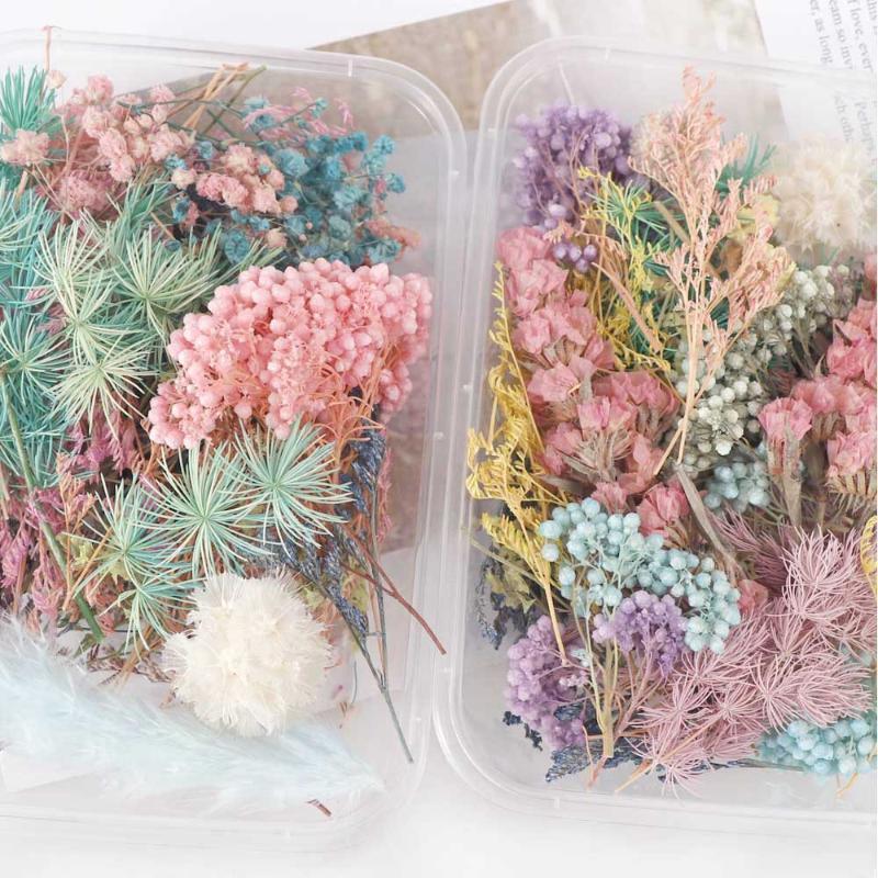 

1pack DIY Multi Color Natural Dried Flowers for Handmade Decorations Accessories Dried Leaves Flower Heads Scrapbooking Decor1, Random