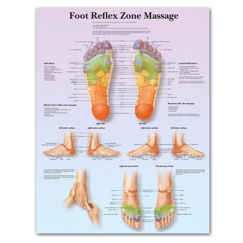 

Modular Canvas Prints Foot Reflex Zero Massage Wall Art Posters Paintings Anatomy Bedroom Home Education Decor Pictures