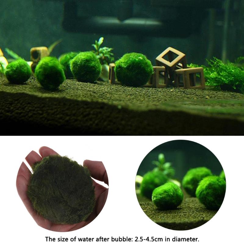 

Artificial Moss Ball Fish Tank Aquarium Decor Ornament 2.5-4.5cm Natural Plants 50JD