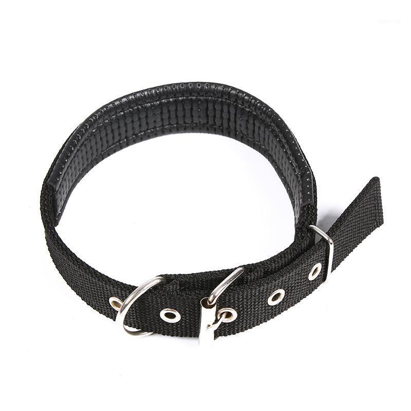 

Pet dog collar adjustable clip buckle dog collars head collars size S/M/L/XL puppy large1
