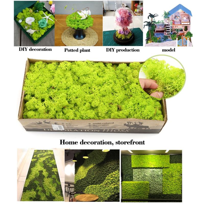 

500g Natural Norwegian Reindeer Moss Preserved Dried Dried Craft Flowerfor Flowers Grass Plant Home Garden Garland Wedding Party, Grass green