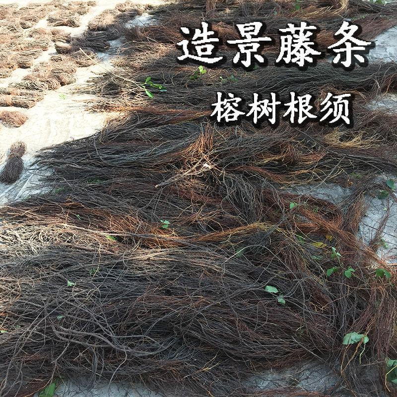 

Natural Air Dried Tree Vine Old Mountain Dry Rattan Decor Aquarium Fish Tank Landscaping Decoration DIY Moss Aquatic Plants