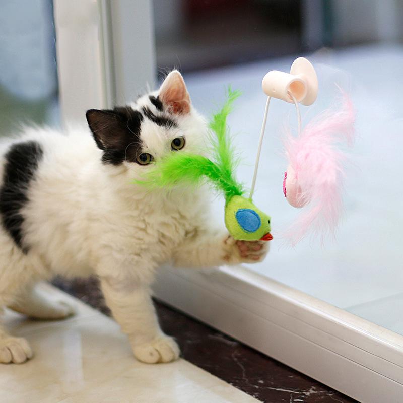 

Cat Toy Bird Interative Feather Teaser Wand Mounted Sucker Window Cat Scratcher Catnip Bird Stuffed Plush Toys Pet Supplies