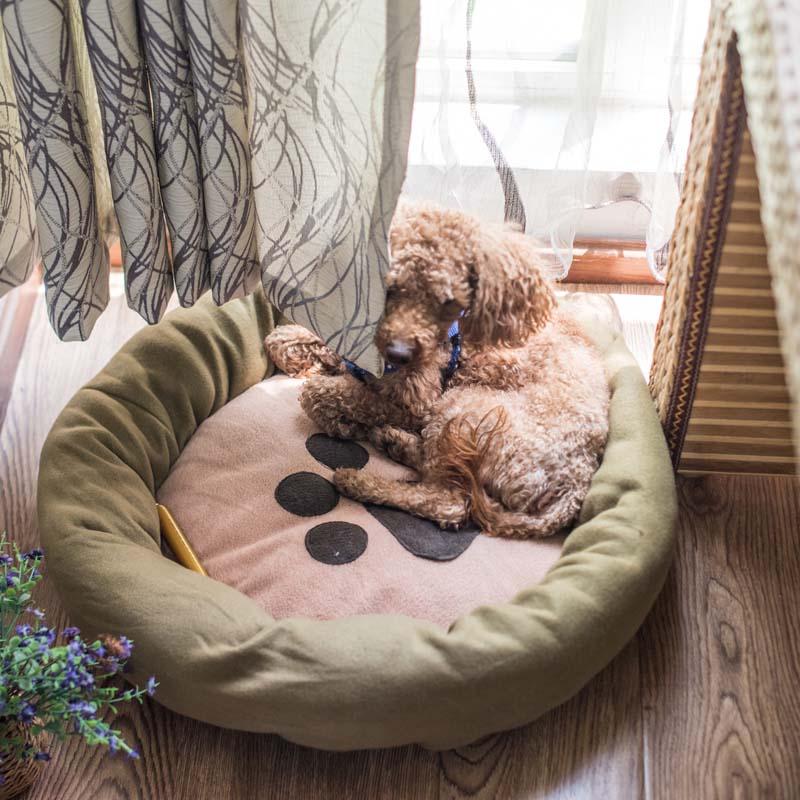 

Hot Pet Dog Bed Cozy Soft Sofa Cat Litter Kennel House Cushion Cama Para Cachorro Mat Teddy Puppy Bed For Small Medium Dogs