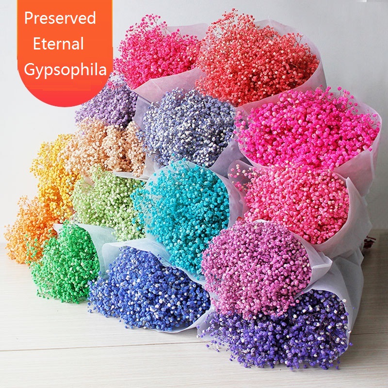 Natürliche Gypsophila Frische konservierte Blumen echt für immer Baby Atem Blume Zweig 100g konserviert trockener natürlicher echter Gypsophila-Blumenstrauß