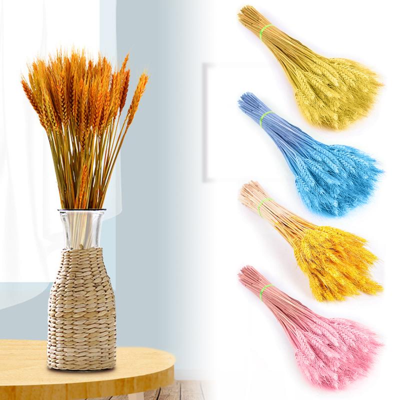 

Bulrush for Home Decor Fake Flowers Natural Dried Small Pampas Grass Phragmites Artificial Plants Wedding Flower Bunch, Beige