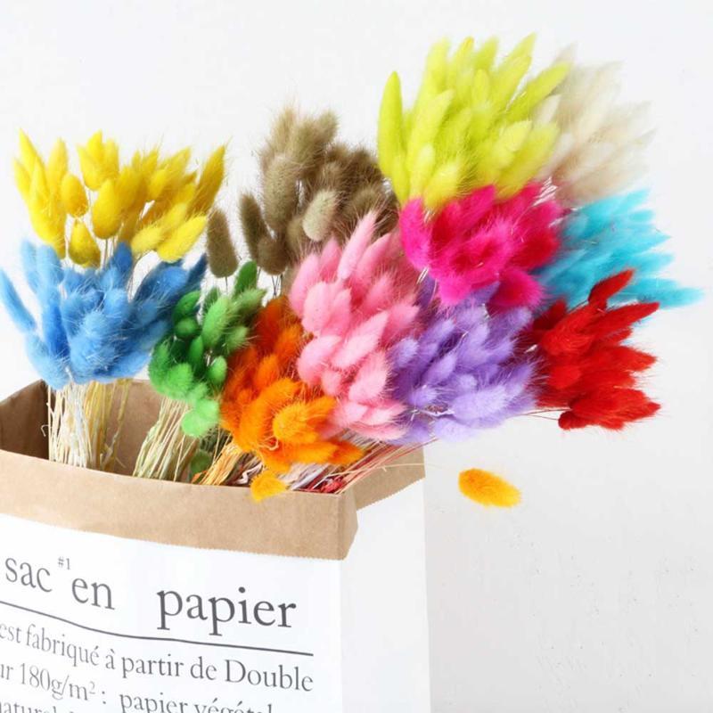 

30Pcs/lot Lagurus Ovatus Natural Dried Flowers Colorful Tail Grass Real Flower Bouquet for Home Wedding Decoration1, Gray