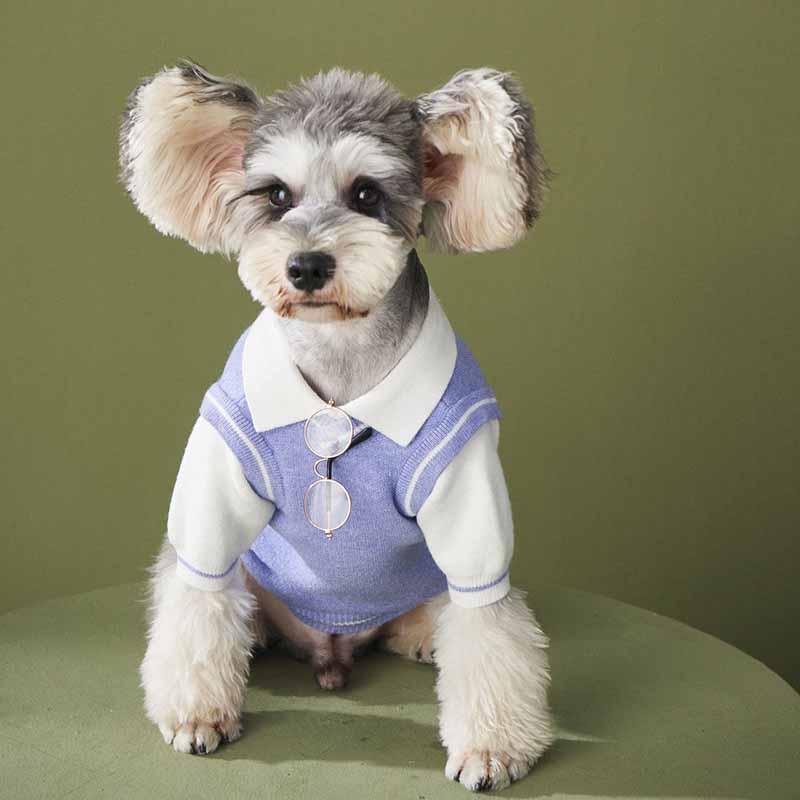 

Dog clothes autumn and winter clothes new fake two-piece sweater knitwear Teddy Schnauzer Bomei law fighting pet outfit trend, Purple