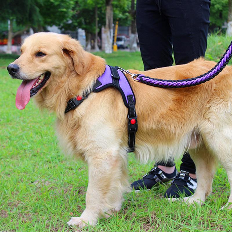 

Dog harness dogs for puppy collar four seasons nylon