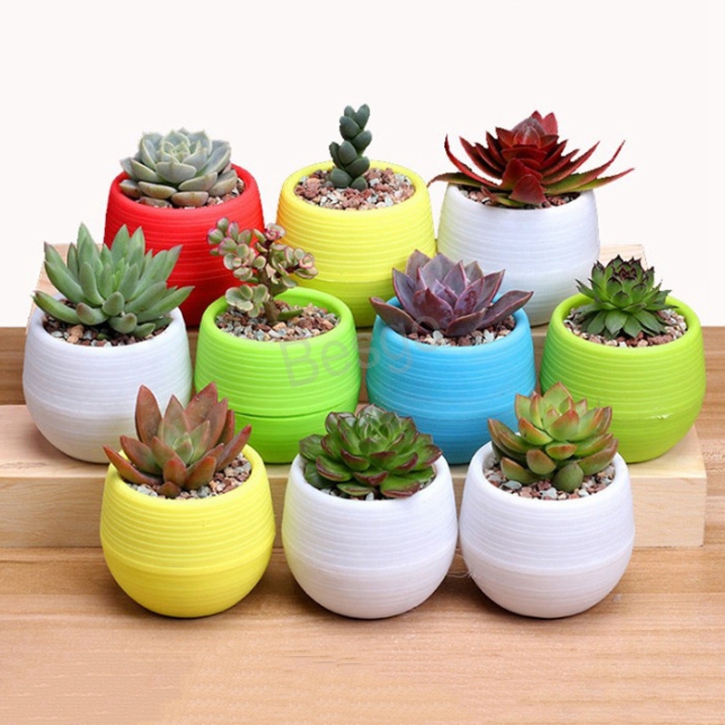 

Gardening Flower Pots Small Colorful Nursery Flower Planter Pots Garden Decor Succulent Plant Plastic Pots Home Planters Supplier BH4430 TQQ