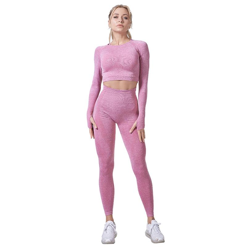 

21NEW 2/3PCS Women Yoga Set Seamless High Waist Long Sleeve Leggings Pants Workout Clothes for Women Laying Sports Gym Clothing, 2pcs-6
