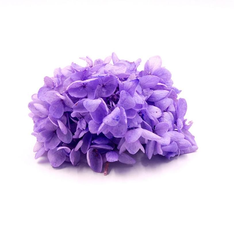 

20g Beautiful Preserved Fresh Hydrangea Flowers For Wedding Party Home Hotel Decoration DIY Bouquet Project Accessory, Color-31