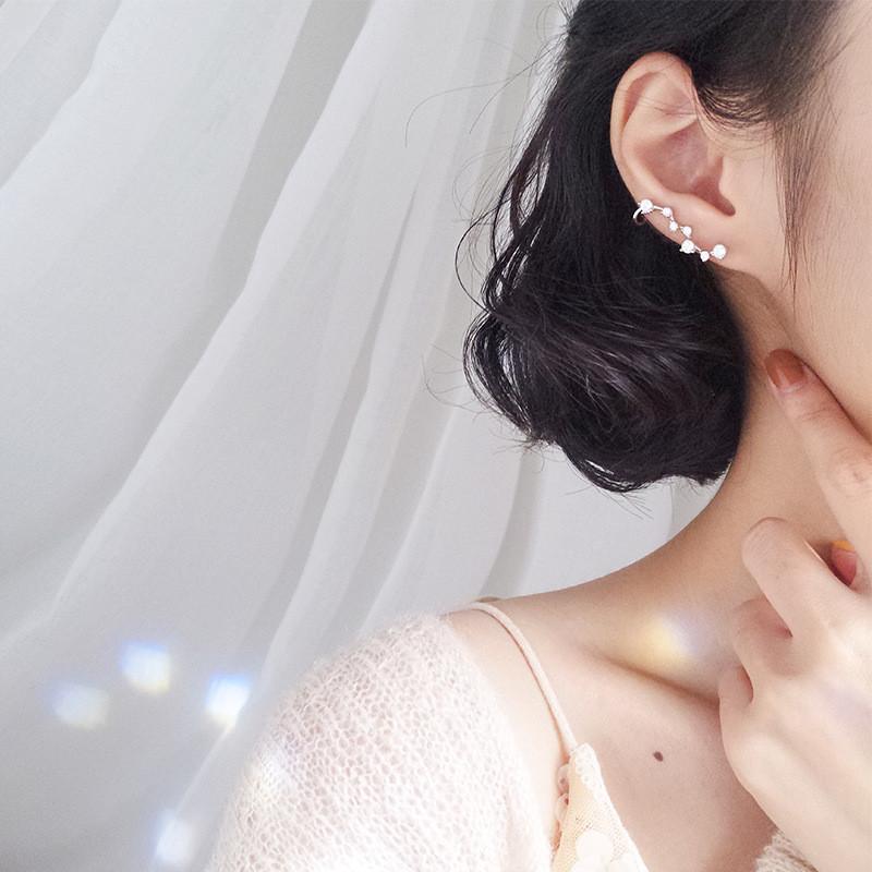 

RUIYI Real 925 Sterling Silver Zircon Stud Earrings Elegant Luxury Shiny Star Earrings For Women Silver Jewelry Sister's Gifts