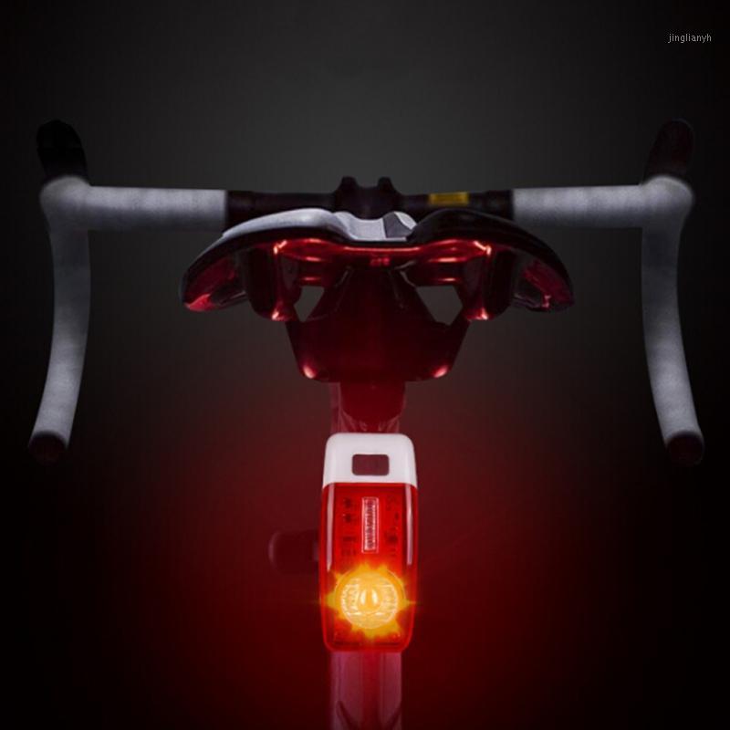 

Bike Tail Light Night Riding Safety Warning Rear Light Cycling Flashing Rear Lights Waterproof Bike Accessories1