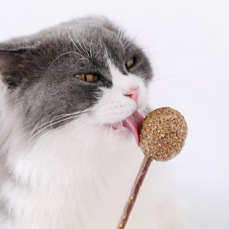 

Pet Cat Teeth Clean Mint Catnip Lollipop Chewing Candy Ball Toy Tease Organic Silvervine Stick Kitten Treats Snack Supply