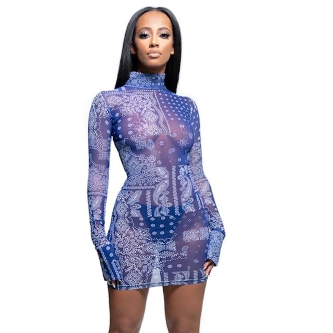 

Printed Mesh See-through Slim Dress