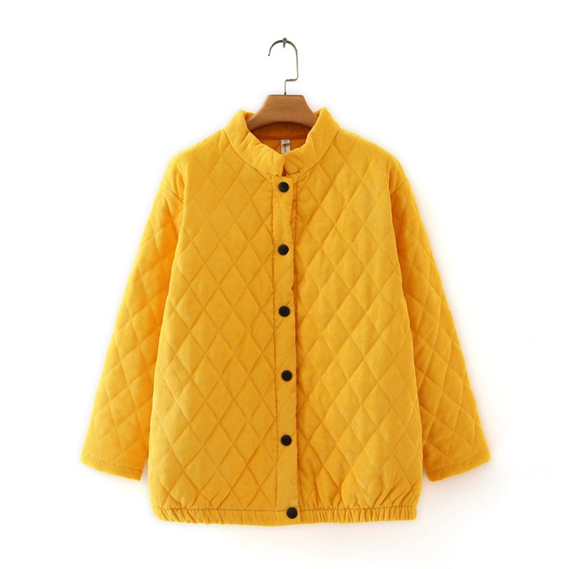 

Solid 2020 Autumn Oversize Thin Parkas Velvet Suede Long-sleeve Black Female Quilted Jacket Icpr