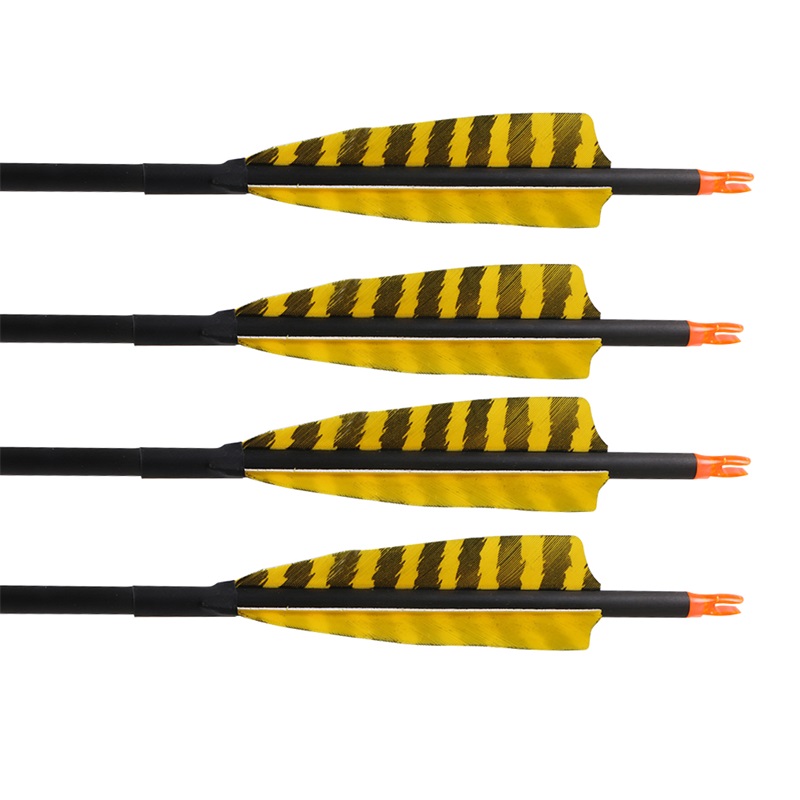 

Free shipping Professional archery bow and arrow supplier pure carbon arrows 400 spine archery bow hunting carbon arrows with factory price