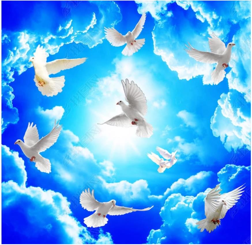 

Custom ceiling wallpaper 3d zenith mural wallpaper for walls 3d Beautiful Fantasy sky white dove ceiling mural background wall paper, Custonized